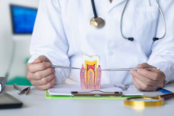 Best Emergency Dental Care for Trauma or Injury in Big Timber, MT